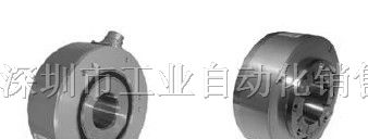 供应编码器WDG100H-45-4096-AB-G24-K3