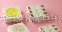 供应LED发光管 厂家直销 5050白灯 发光二极管