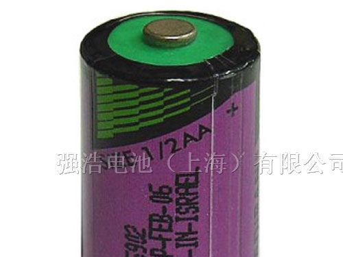 西门子6ES7 291-8BA20-OXAO专用电池