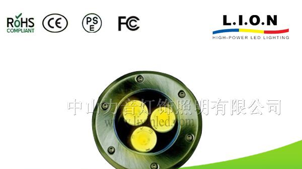 地埋灯LS-DM-6009-3W