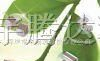 供应贴片电容0805 226Z/M/K