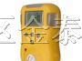 供应广东汉威BX170便携式气体探测器