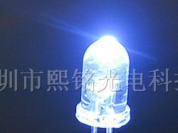 供应LED发光二极管 5MM白色 长脚