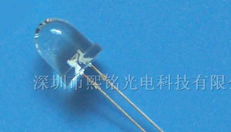 供应LED发光二极管 10MM绿色