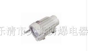 ABSg系列防爆视孔灯
