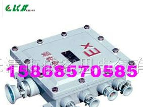 BXJ51防爆接线箱，乐清防爆箱，依客思接线箱