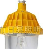 供应R-BPC8720防爆平台灯BPC8720，BPC8720