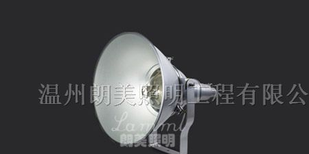 供应防震投光灯