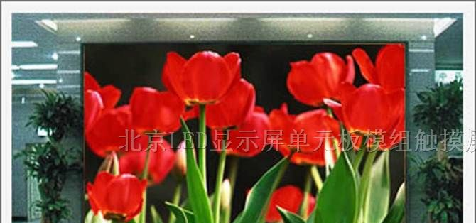 LED单元板LED模组现货批发