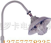 供应BPD防爆平台灯，BAP52防爆平台灯，BCP防爆平台灯