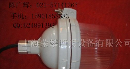 供应NFC9112防眩泛光灯