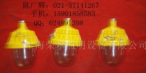 供应BPC8720防爆平台灯
