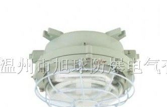 供应防爆环形荧光灯、环形荧光灯、防爆全塑荧光灯