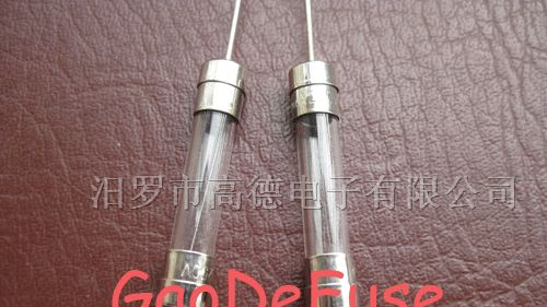 供应6*30mm双帽引线保险丝管