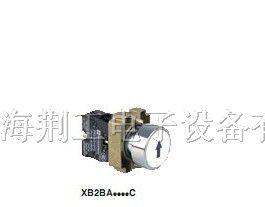 供应施耐德 金属 按钮指示灯