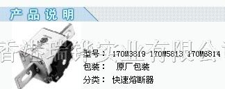 供应170M 系列总览 库柏Bussmann(高)快速熔断器