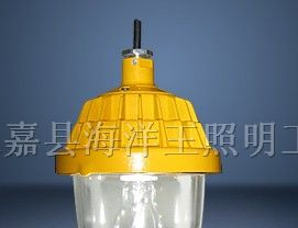 防爆平台灯 BPC8720-J150 海洋王防爆灯