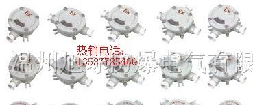 防爆接线盒生产厂家BHD51防爆接线盒防爆接线盒
