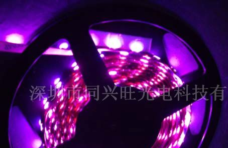 供应LED贴片灯带、贴片5050软灯条生产厂家