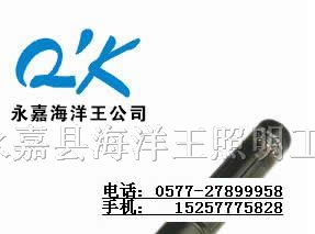 供应JW7300微型防爆电筒◆海洋王手电筒◆