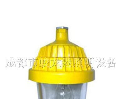 供应防爆应急灯 BPC8720