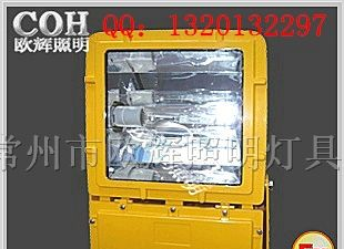 供应ZBFC8110 防爆泛光灯