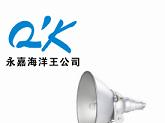 强光探照灯 NTC9210 海洋王灯具海洋王照明