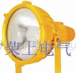 供应BTC8210 防爆投光灯