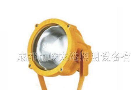 供应BTC8200 防爆投光灯 BTC8200厂家