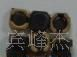 贴片式功率电感CD53 5.8*5.2*3交货期快