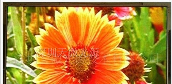 供应低价提销售LED全彩显示屏（P10、P12、P16、P20）