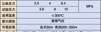 供应磁敏电子双色液位计