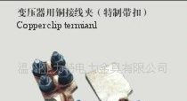 温州亚力特金具  变压器用铜接线夹(特制带扣)