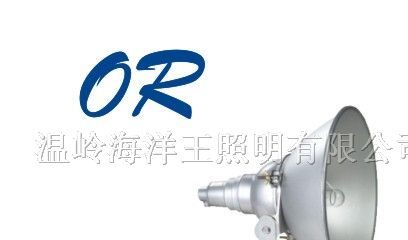 供应NTC9200防震型超强投光灯