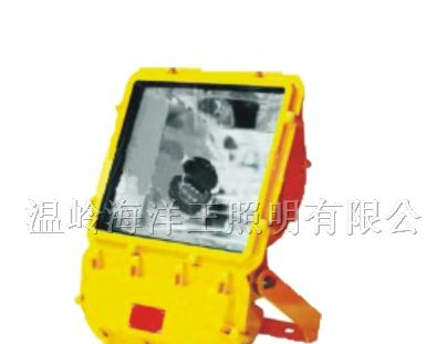 供应BFC8110防爆泛光灯