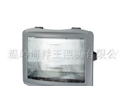 供应NSE9720防眩应急通路灯