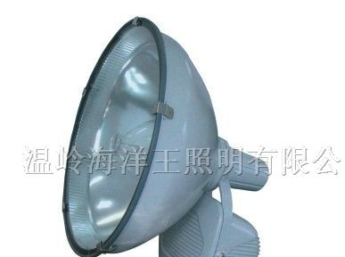 供应ZT6900B防水防尘防震投光灯