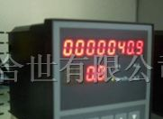 供应仪表流量积算仪显示数字