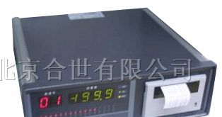 供应仪表智能巡回检测报警仪 显示