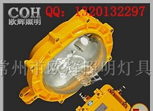 供应BFC8100外场防爆强光泛光灯