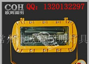 供应BFC8120内场防爆泛光灯