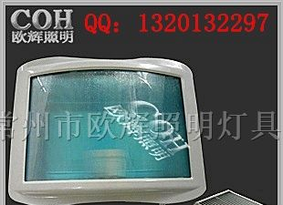 供应NSE9720防眩应急通路灯