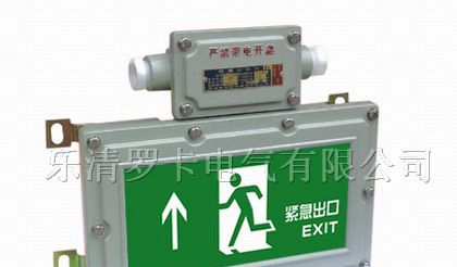供应BAYD81防爆标志灯,BAYD81安全出口标志灯