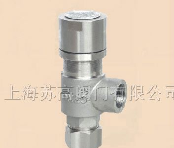 供应上海苏高A21Y弹簧微启式外螺纹安全阀