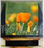 全彩OLED显示屏