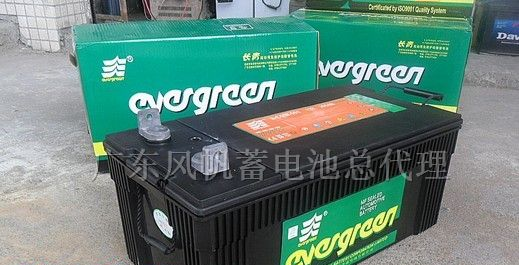 长青牌蓄电池，批发长青牌电池，船用长青免维护蓄电池