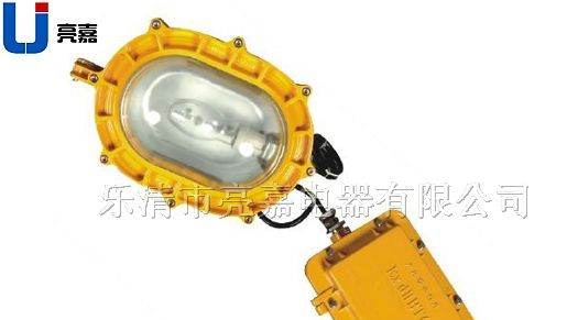 BFE8120内场防爆应急灯BFE8120/BFE8120/品质保证