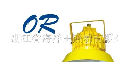 供应海洋王灯具 BPC8710  防爆平台灯