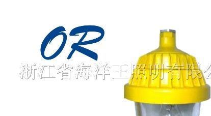 供应海洋王 防爆平台灯 BPC8720 灯具照明