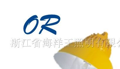 供应海洋王  BPC8730  防爆平台灯 动车隧道照明